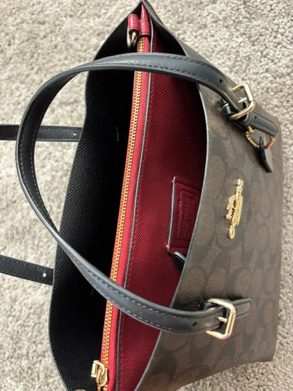 Mollie Tote Bag 25 In Signature Canvas